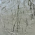 MP3 nyomóforma falbélyegzéshez